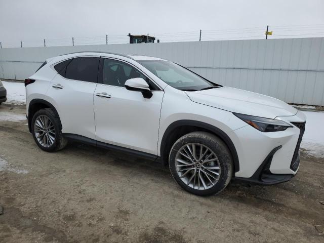 Vin: 2t2ggcez8pc026876, lot: 46683055, lexus nx 350 350 20234
