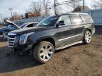 Top Destinations for Shipping Cars from the USA