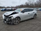 2019 NISSAN MAXIMA S - 1N4AA6AV0KC372962