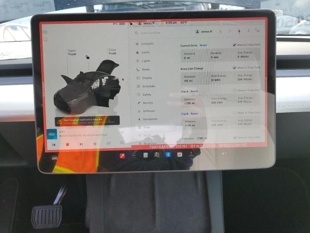 2025 TESLA MODEL Y - 7SAYGAEE0SF310181