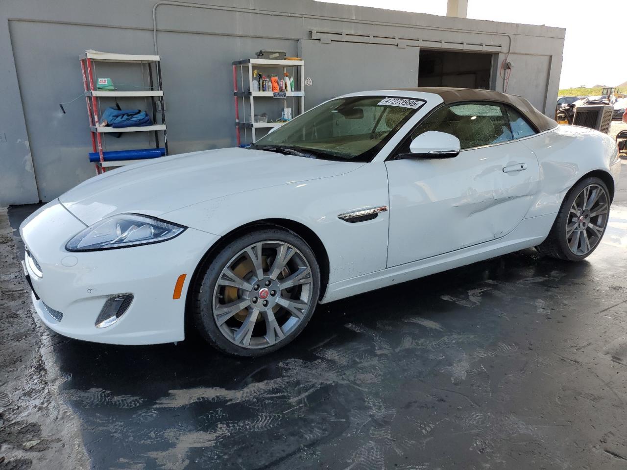 JAGUAR XK