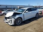 Top Destinations for Shipping Cars from the USA
