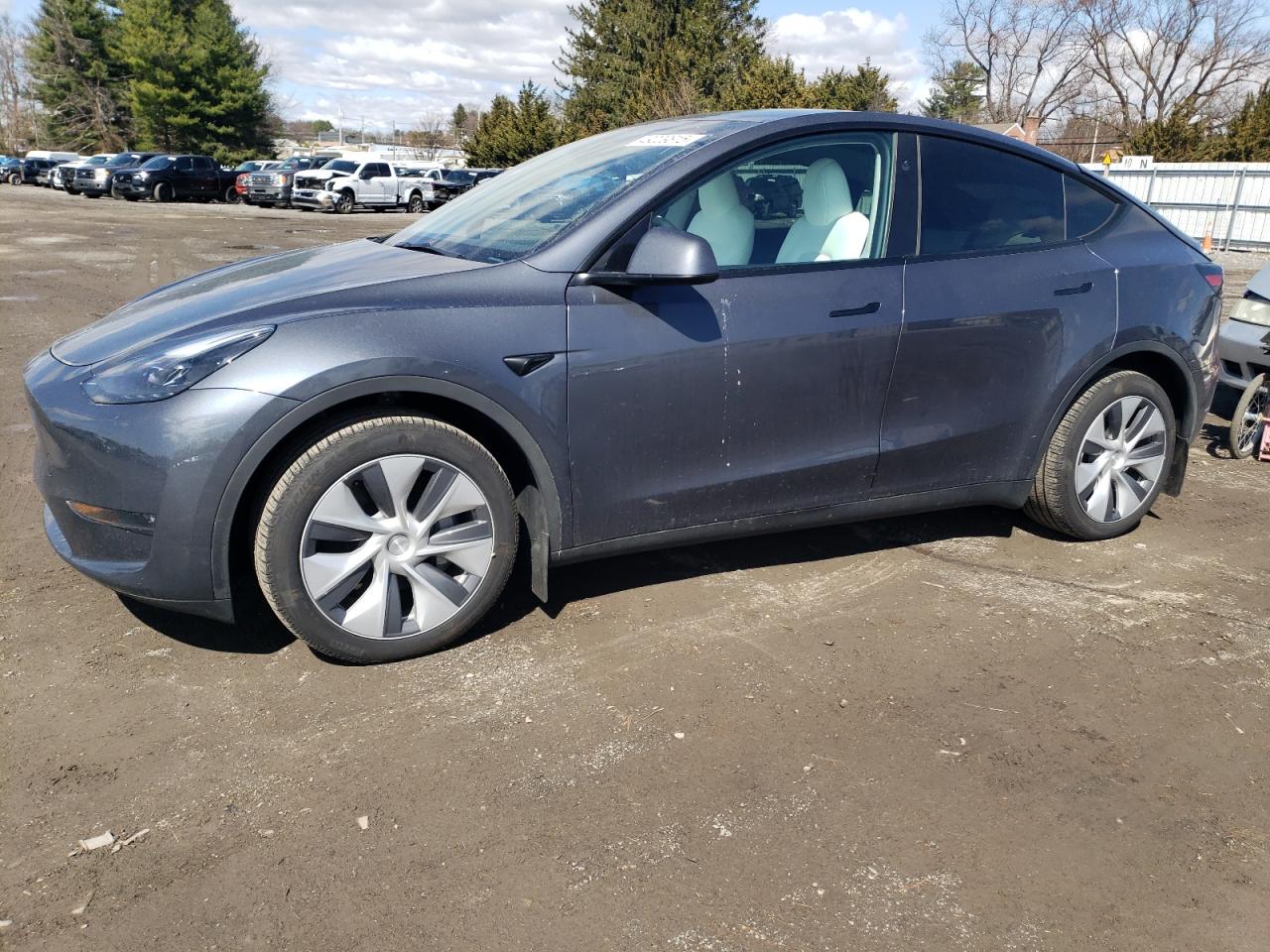 TESLA MODEL Y