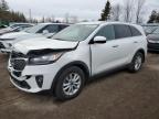 Top Destinations for Shipping Cars from the USA