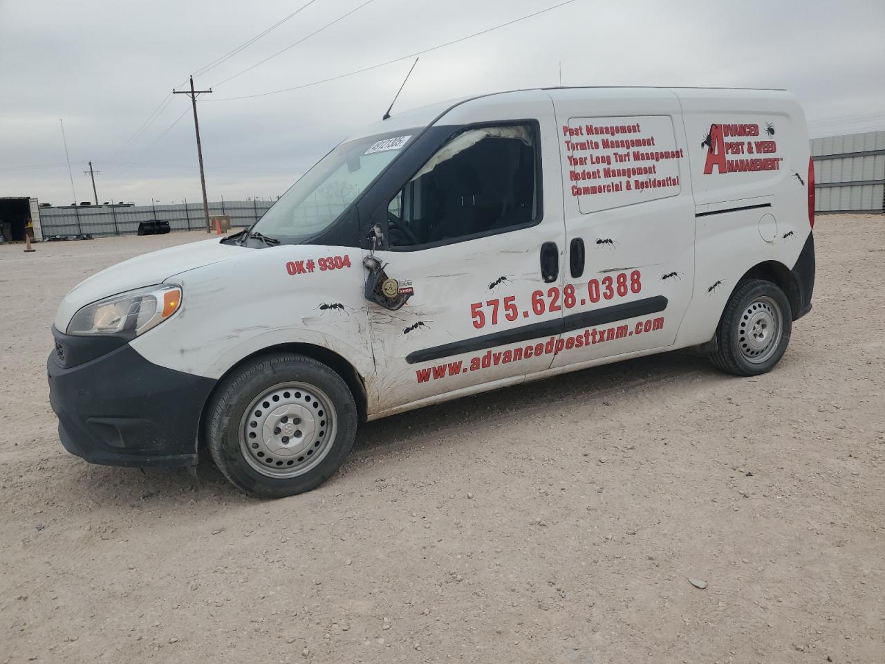 RAM PROMASTER