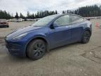 2024 TESLA MODEL Y - 7SAYGDEE3RF205470
