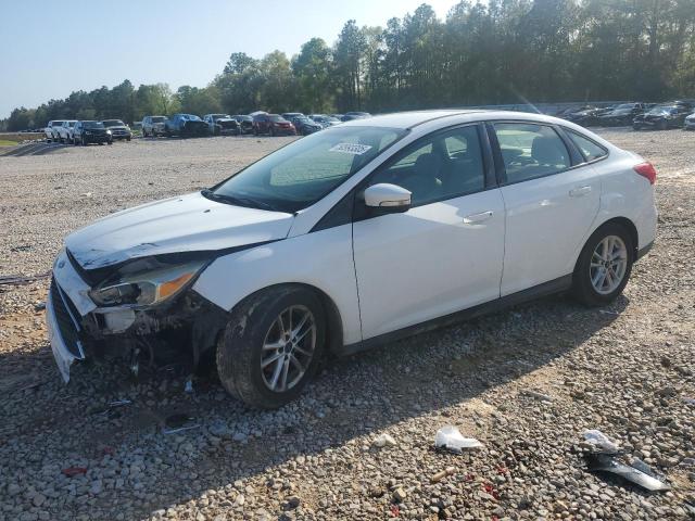 Vin: 1fadp3f25fl329037, lot: 50993305, ford focus se 2015 img_1