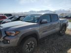 2021 TOYOTA TACOMA DOU - 3TMCZ5AN6MM371211