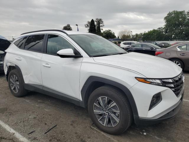 Vin: km8jbcd14ru228460, lot: 48106235, hyundai tucson blue 20244