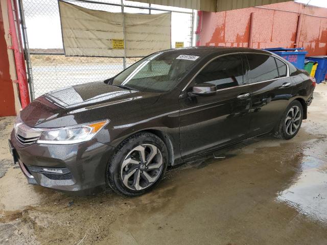 HONDA ACCORD EXL