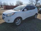 Top Destinations for Shipping Cars from the USA