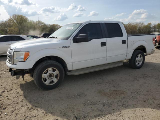 Vin: 1ftew1c88afa87575, lot: 51010135, ford f-150 supercrew 2010 img_1