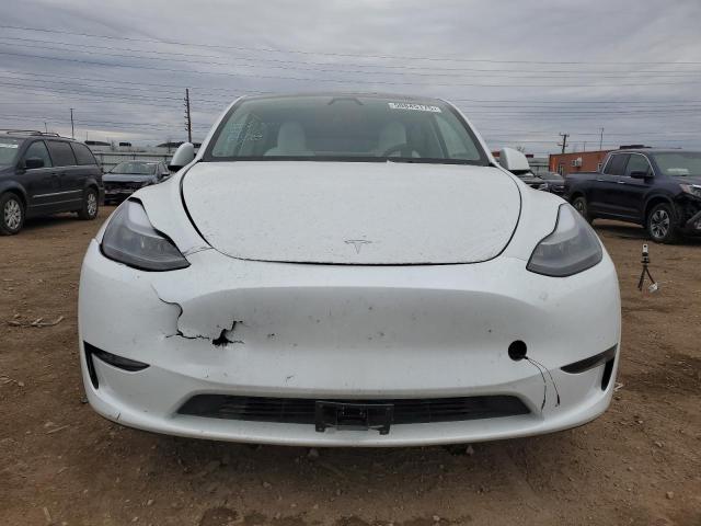 2023 TESLA MODEL Y - 7SAYGDEEXPF839677