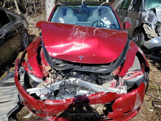 2024 TESLA MODEL Y - 7SAYGDEE0RF084798