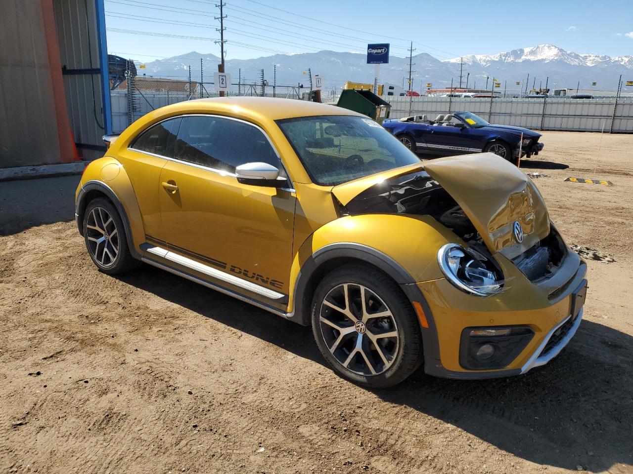 VOLKSWAGEN BEETLE DUNE