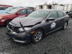 2017 HONDA CIVIC LX - 2HGFC2F50HH036733