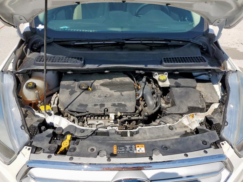 2019 FORD ESCAPE SE - 1FMCU0GD9KUA17459