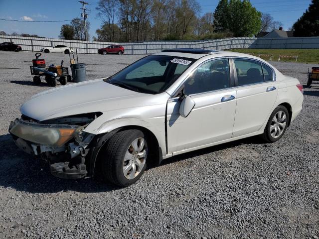 Vin: 1hgcp3f83aa011692, lot: 50494165, honda accord exl 2010 img_1
