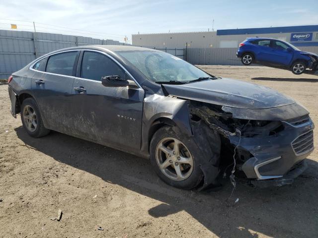 Vin: 1g1zb5st7gf195407, lot: 51167725, chevrolet malibu ls 20164
