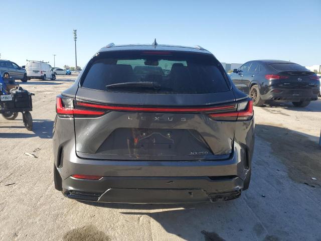 2024 LEXUS NX 250 BAS 2T2ADCAZ5RC008083