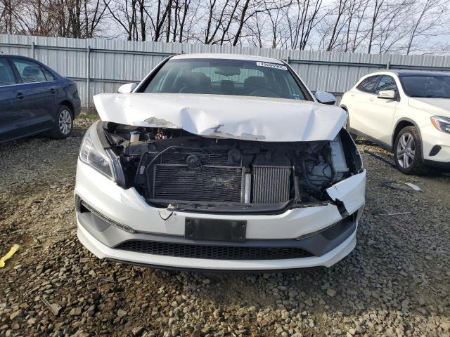 2017 HYUNDAI SONATA SPO - 5NPE34AB1HH506746
