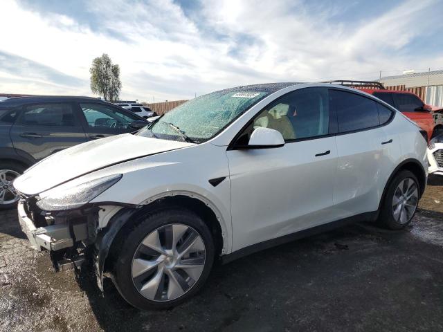 2023 TESLA MODEL Y #3114671241