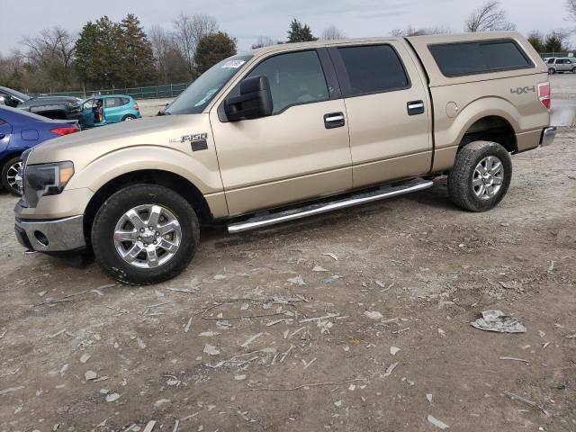 Vin: 1ftfw1ef1efb37271, lot: 48061895, ford f-150 supercrew 2014 img_1