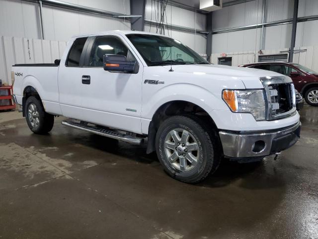 Vin: 1ftfx1et4ekg44031, lot: 50257415, ford f-150 super cab 20144