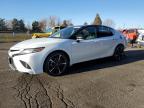 2019 TOYOTA CAMRY XSE - 4T1B61HK5KU230532