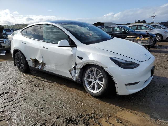 2023 TESLA MODEL Y - 7SAYGDEEXPF844622