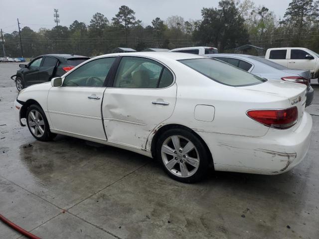 LEXUS ES 330 2006 white  gas JTHBA30G165149516 photo #3