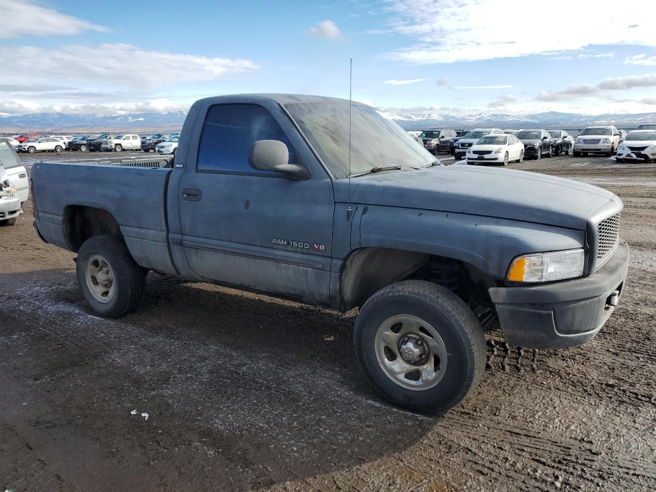 Global Auto Auctions