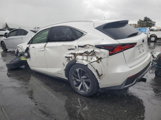 2019 LEXUS NX 300H JTJBJRBZ8K2105718
