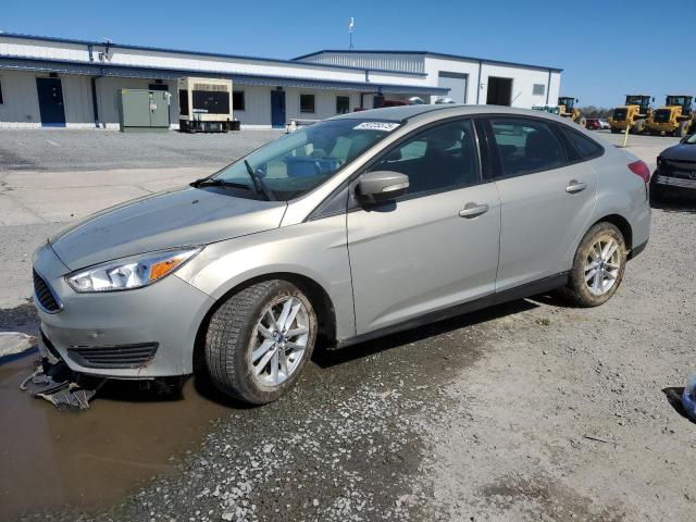 Vin: 1fadp3f27gl210181, lot: 49725575, ford focus se 2016 img_1