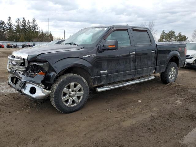 Vin: 1ftfw1et8dfa81687, lot: 47352935, ford f-150 supercrew 2013 img_1