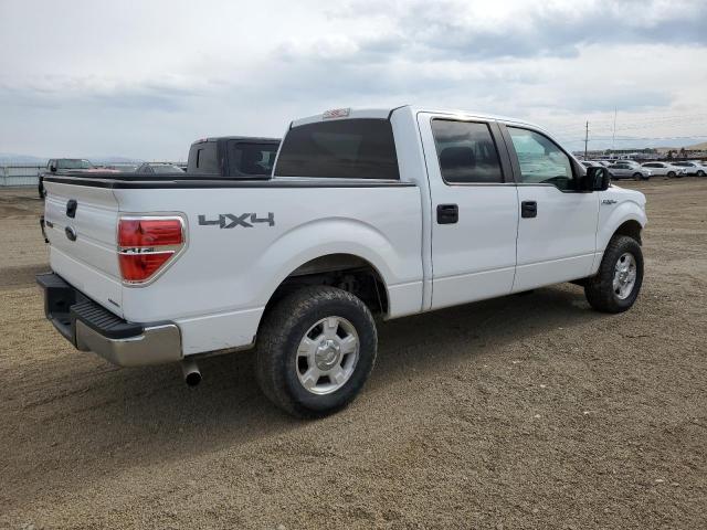 Vin: 1ftfw1ef8dfc06181, lot: 48256795, ford f-150 supercrew 20133