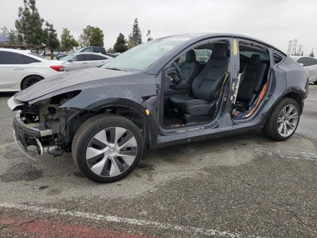 TESLA MODEL Y 2024 gray  electric 7SAYGDED5RF093410 photo #1