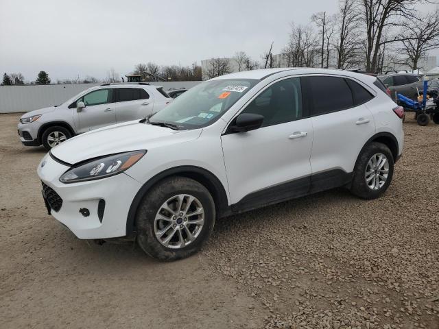 Vin: 1fmcu9g61nub14505, lot: 50307425, ford escape se 2022 img_1