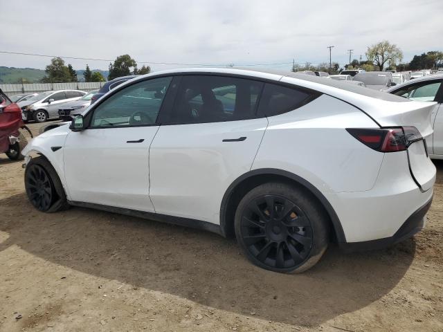 2023 TESLA MODEL Y - 7SAYGDEE4PF590759