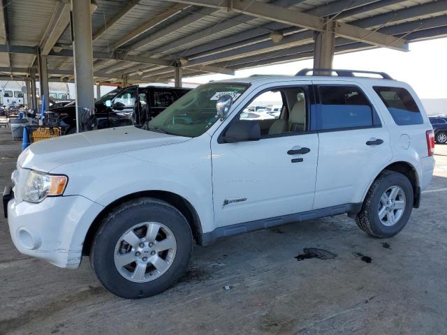 2010 FORD ESCAPE HYB #3113854387