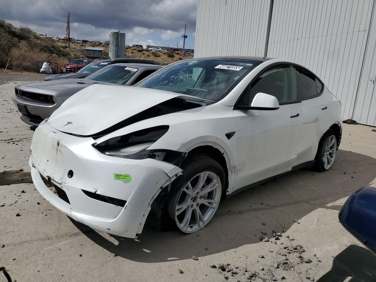 Lot #3296289417 2023 TESLA MODEL Y