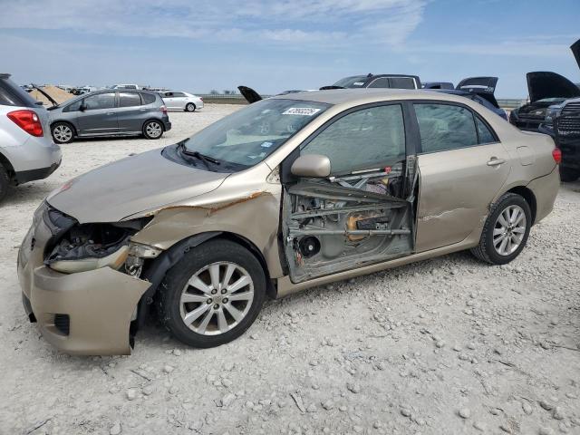 TOYOTA COROLLA BA