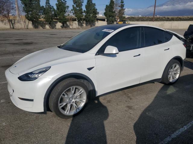 TESLA MODEL Y 2021 white  electric 5YJYGDEE4MF204219 photo #1