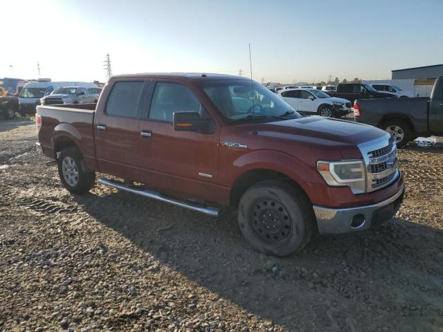 Vin: 1ftfw1ct3ekf21312, lot: 50448255, ford f-150 supercrew 20144