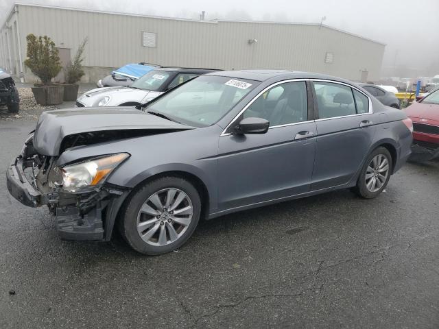 Vin: 1hgcp2f80ba093800, lot: 51106875, honda accord exl 2011 img_1