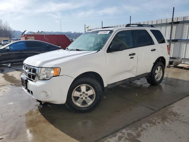 Vin: 1fmcu9dg8akc04267, lot: 48135665, ford escape xlt 2010 img_1