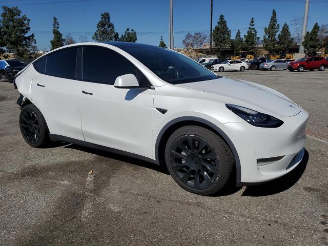 2021 TESLA MODEL Y 5YJYGDEEXMF065536