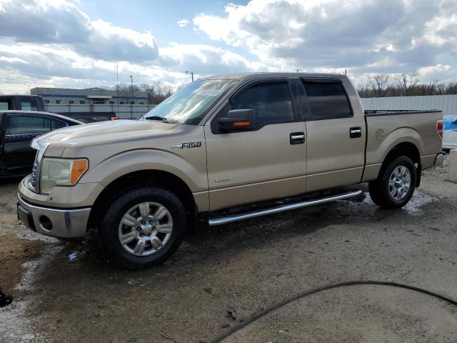 Vin: 1ftfw1ct6bfb80623, lot: 50228485, ford f-150 supercrew 2011 img_1
