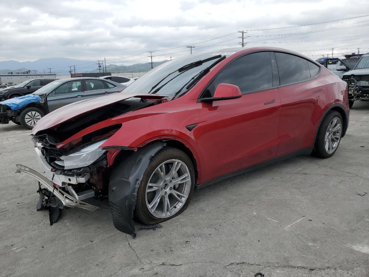 TESLA MODEL Y