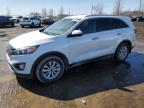 Top Destinations for Shipping Cars from the USA